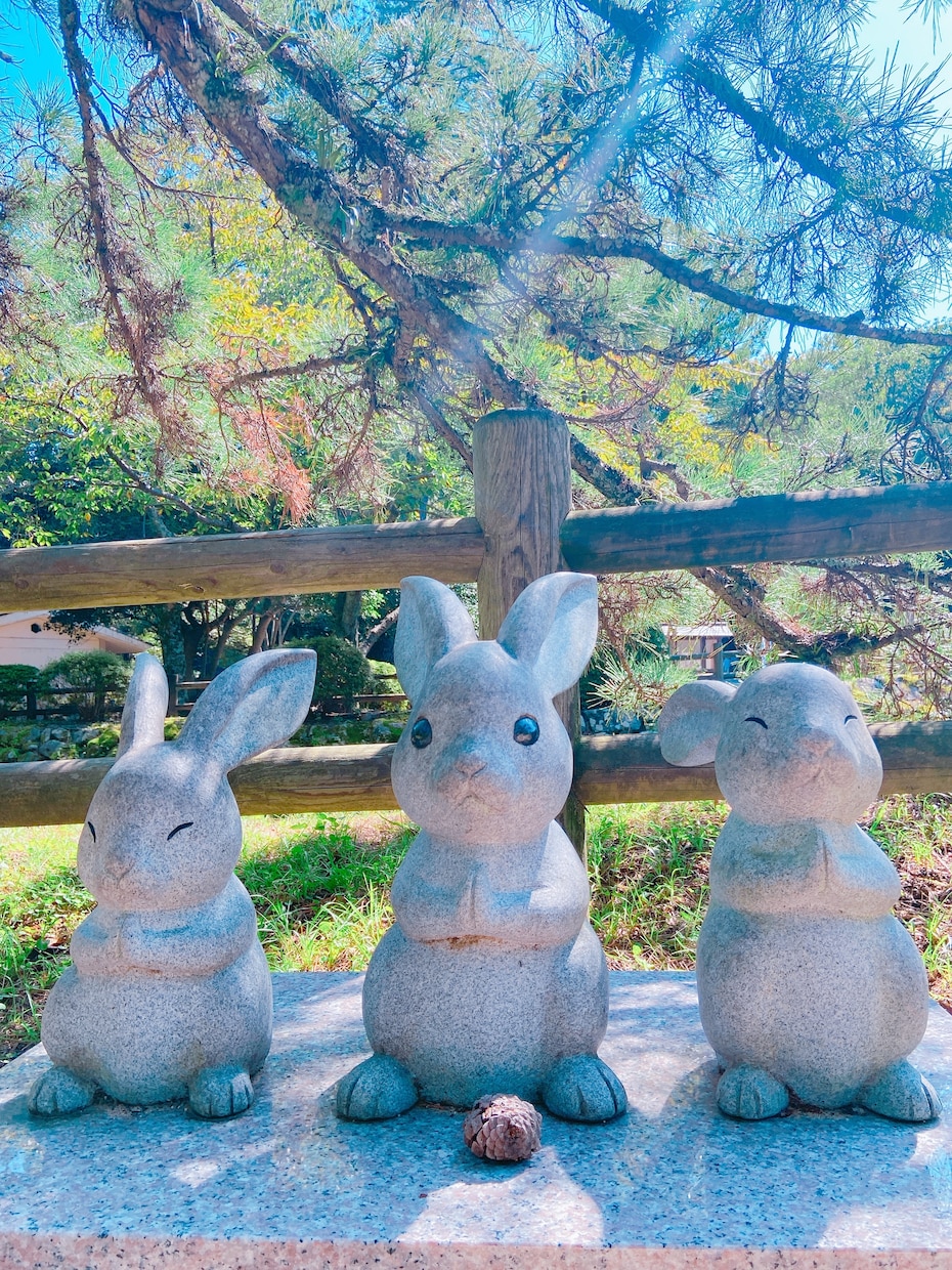 恋愛についてシンプルに占います ※不倫についての占いはいたしません イメージ1
