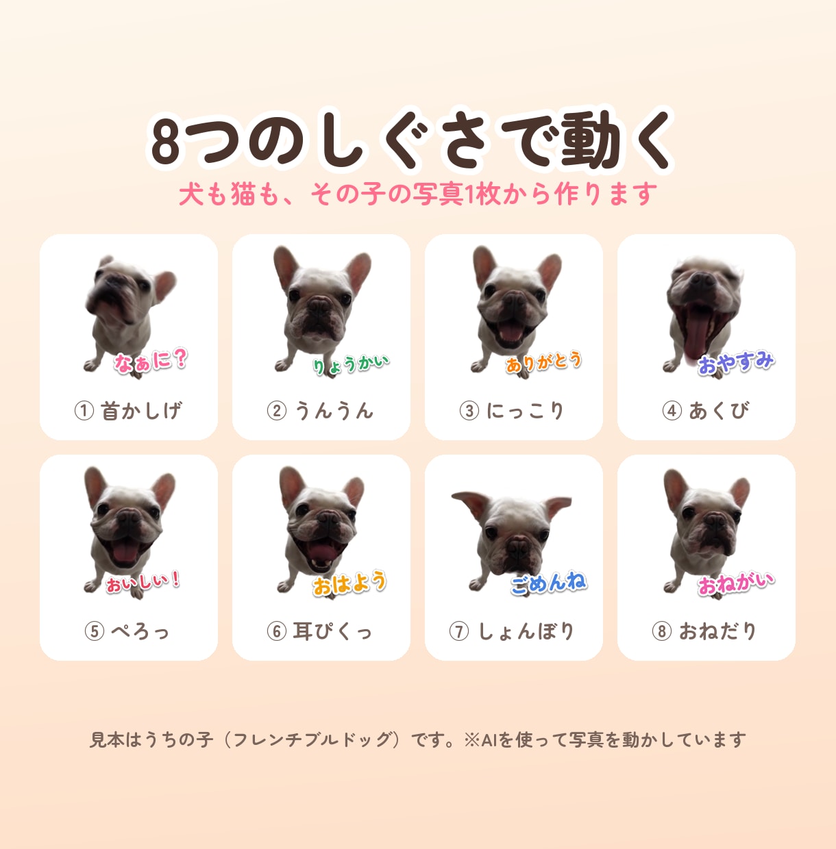 ペット写真1枚で動くLINEスタンプを作ります 写真1枚でOK・連写も動画も不要・申請も代行 イメージ2