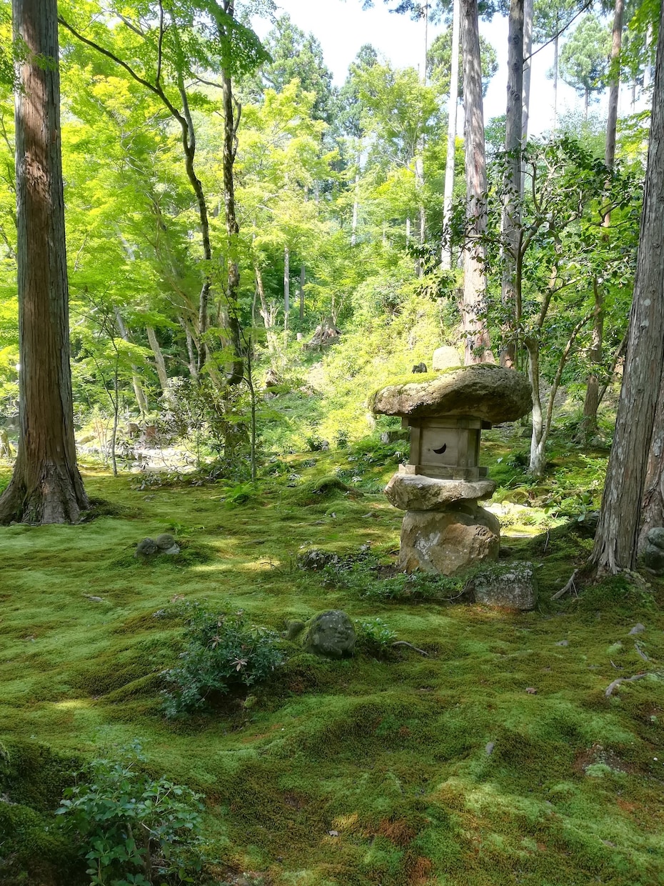 未練を断ち切り、本来の幸せを！新しい恋♡応援します キッパリ！京都の「縁結び神社」代理参拝で新しい恋を引き寄せ♡ イメージ10
