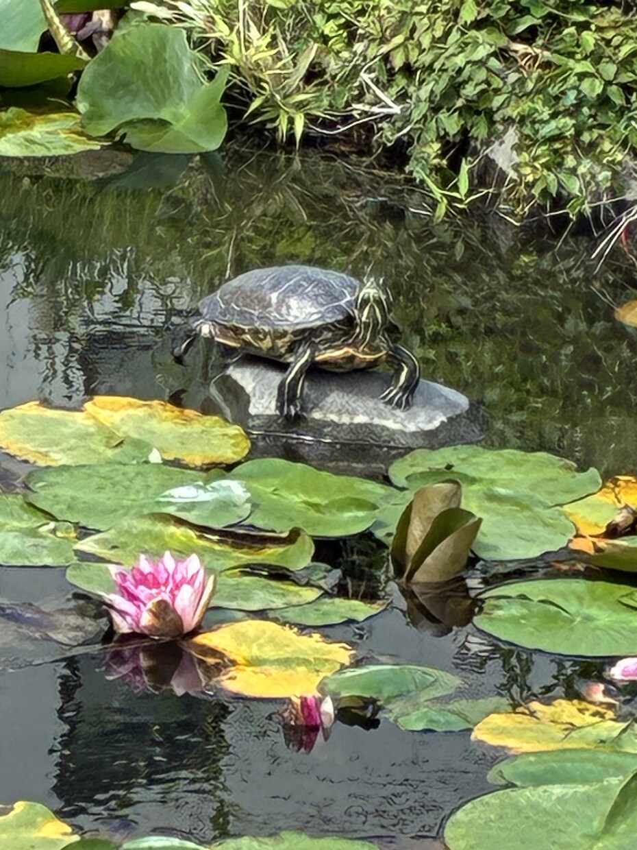 自分らしさを取り戻すお手伝いを致します 一歩踏み出せる自分へ〜潜在意識からアプローチ イメージ1
