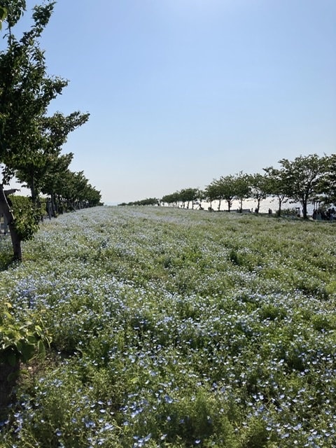 色んな悩みや愚痴、男女問わず話し相手になります 帰宅中や食事中、ベッドの中など何処でもOKです！ イメージ2