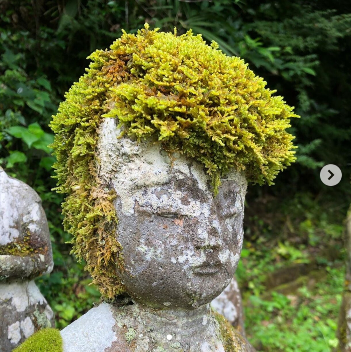 頑張ります あなたの悩み晴らします一緒に楽になりましょう イメージ1