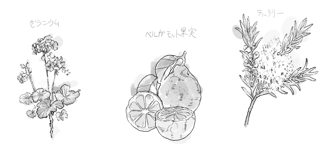 取り扱い説明図や化粧品挿絵を制作します タッチの選べるテクニカルイラストお引き受けします。 イメージ4