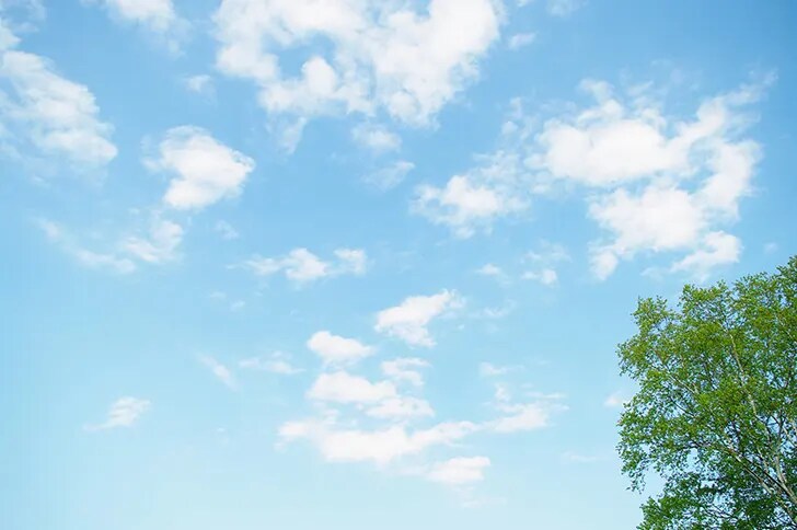 お悩み、お話に耳を傾けます 最近気になることやもやもやをスッキリさせませんか？ イメージ1