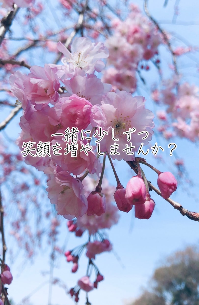 何者でもないあなたでいられる時間を提供します ■ちょっと落ち込んでいる時、疲れた時に来てください。 イメージ1