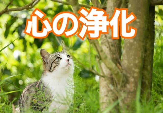 愚痴や悩み等何でも聞きます あなたのための話し相手になります イメージ1