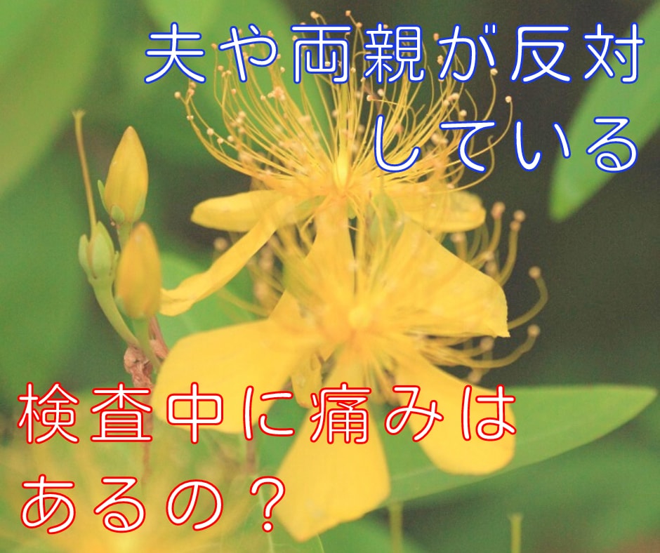 羊水検査を受けた経験があります 羊水検査を受ける決断が出来ず、話し相手が欲しい方へ イメージ3