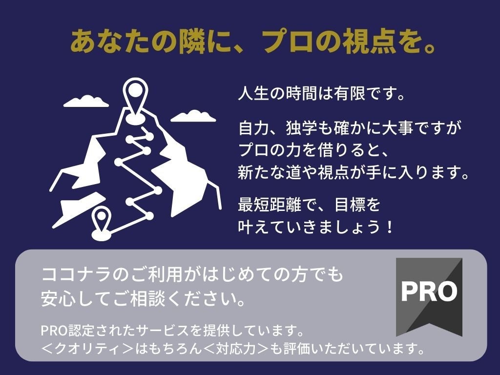 ECサイト売上改善!コンサル３ヶ月集中サポします 集客CV改善のプロが隣に｜楽天アマゾンShopifyBASE イメージ10