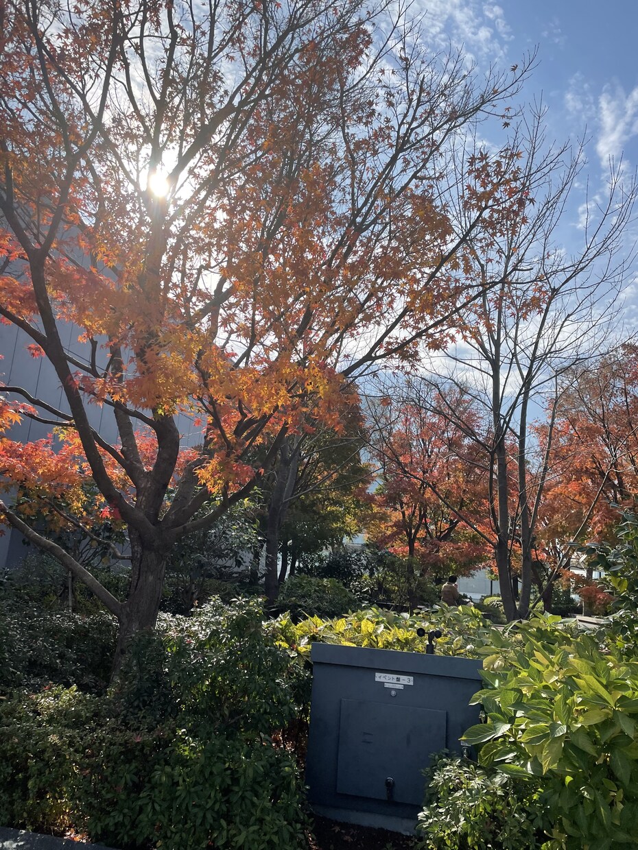 心に寄り添います 緊張しないでなんでもお気軽にお話しください。 イメージ1
