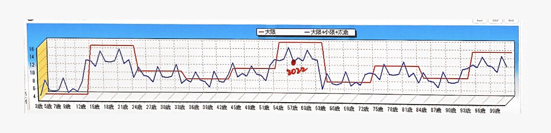 紫微斗数で一生分のグラフの画像お送りします 浮き沈みのある人生を一覧できます。質問相談も可能。 イメージ2