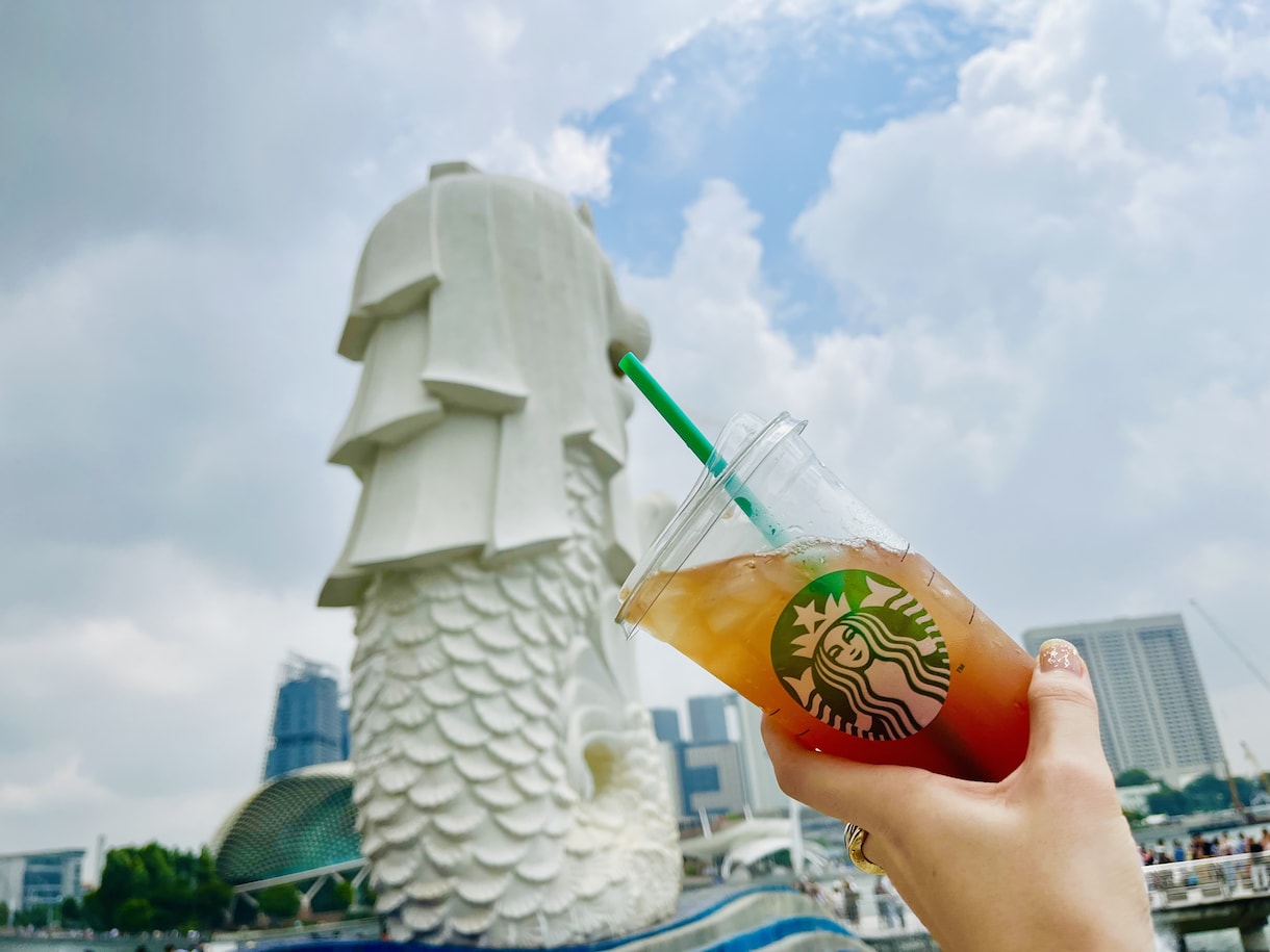 シンガポールの旅行プランを作成します 現地在住2児の母のブロガーが個人から家族旅行まで幅広くご提案 イメージ1