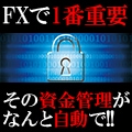 MT4：FXの適正ロット自動計算ツールでございます <MT4>MoneyManagement イメージ1