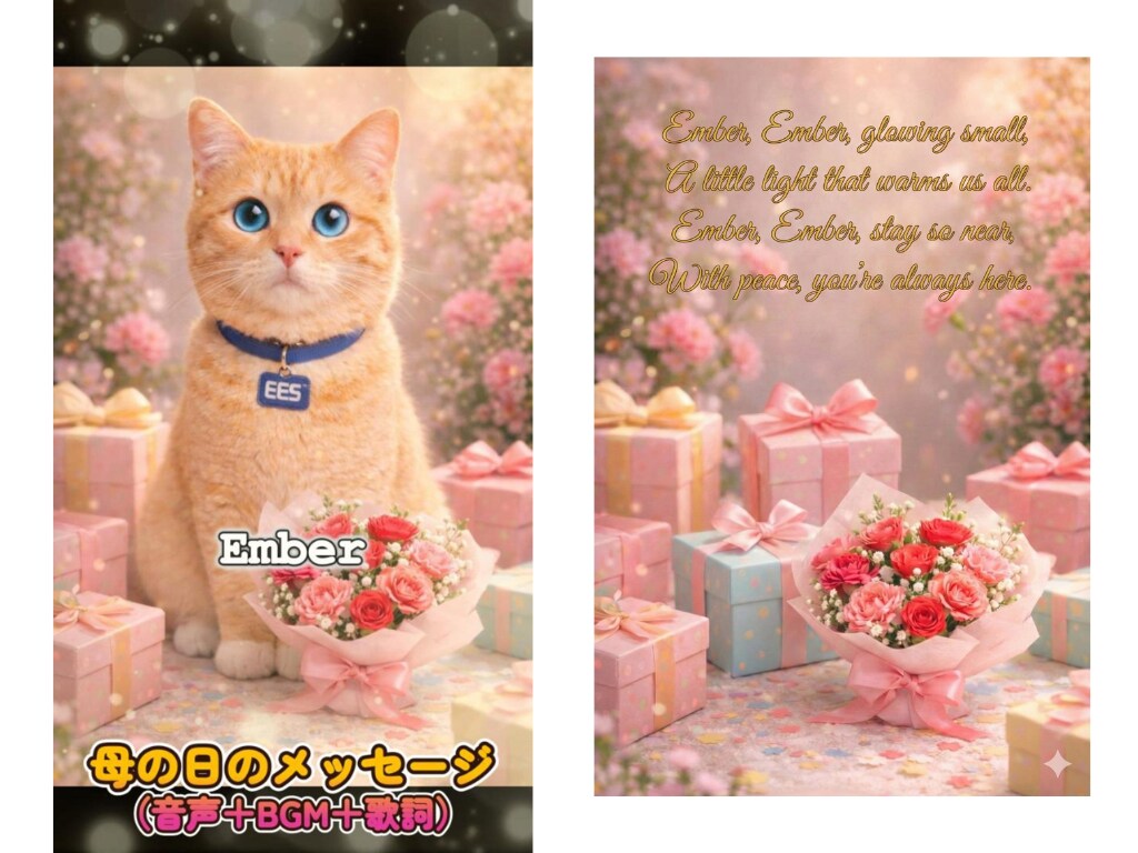 うちの子が喋る！？魔法のメッセージカード作ります 写真1枚で完成！誕生日・母の日・天国から…感動のサプライズ イメージ6