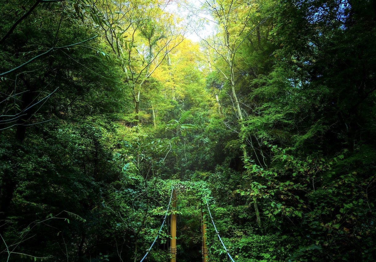 初心者が風景・街 写真素材提供します 低価格でオリジナルと調整済の写真素材を提供！ イメージ2