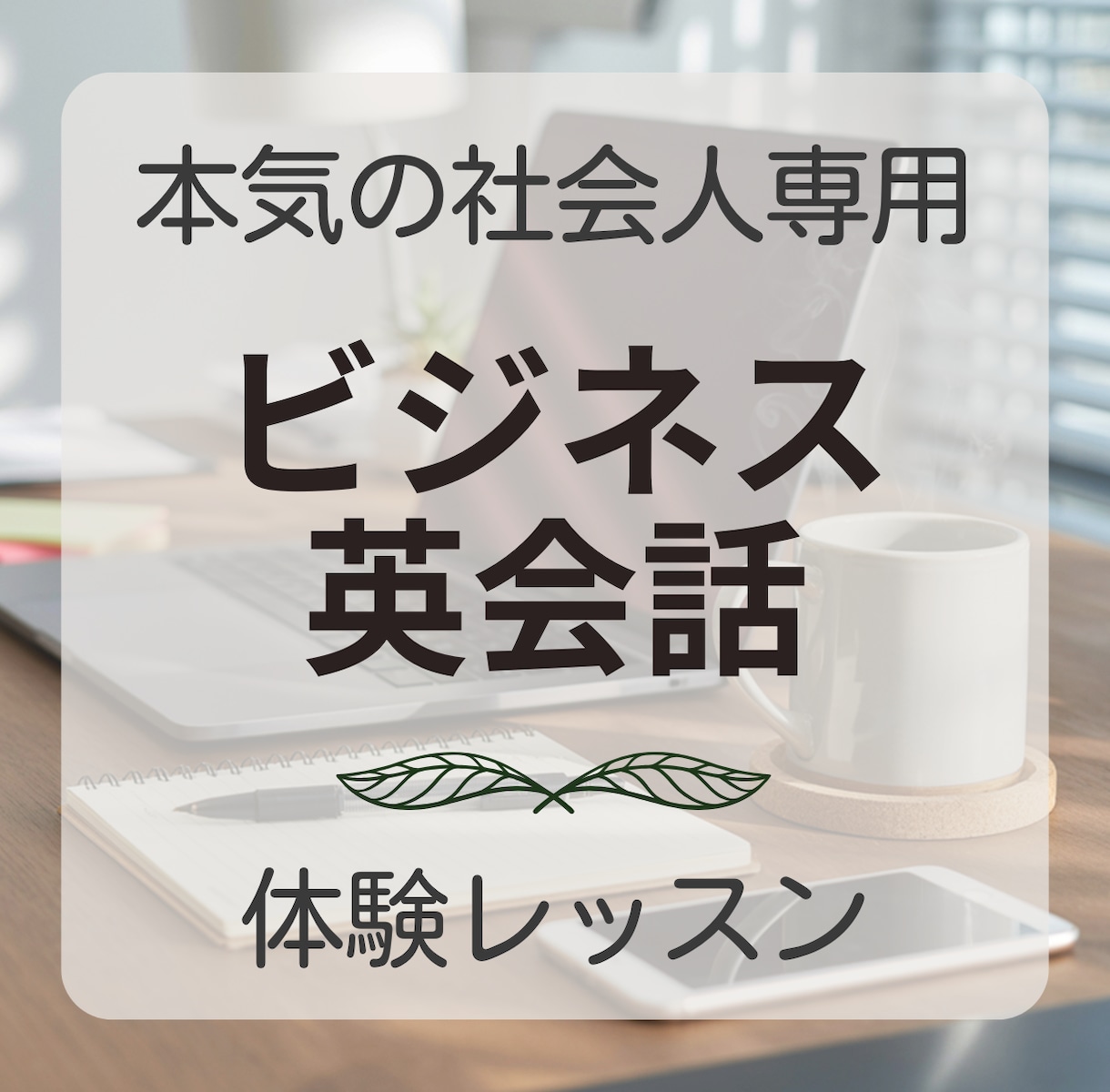 体験レッスン｜ビジネス英語の上達をお手伝いします 指導歴20年のフレンドリーなカナダ人があなたをサポートします イメージ1
