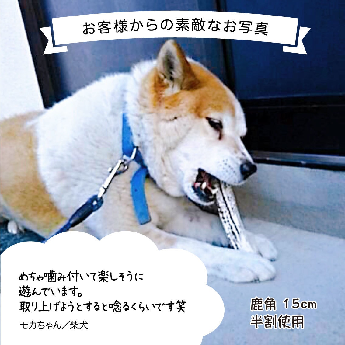 目的に合った商品画像・ロゴ・バナー制作します ココナラ初心者歓迎！これからWebの素材が必要な方へ！ イメージ8