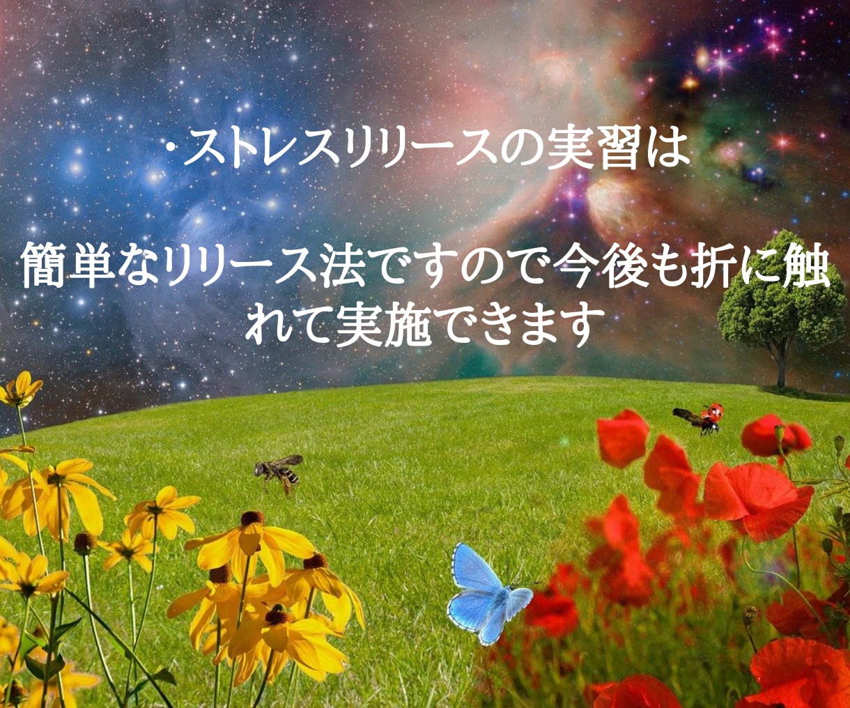 夜も眠れない！ストレスなんて低減できます もうストレスで眠れない夜を終わらせよう イメージ9