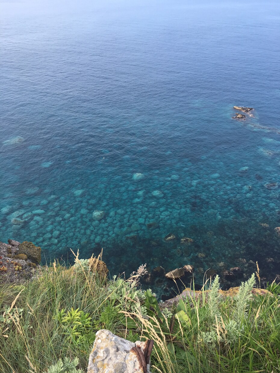 国内旅行を中心に、希望に沿ったプランを提供します 旅行前、旅行中など様々なアドバイスをさせていただきまふ。 イメージ4