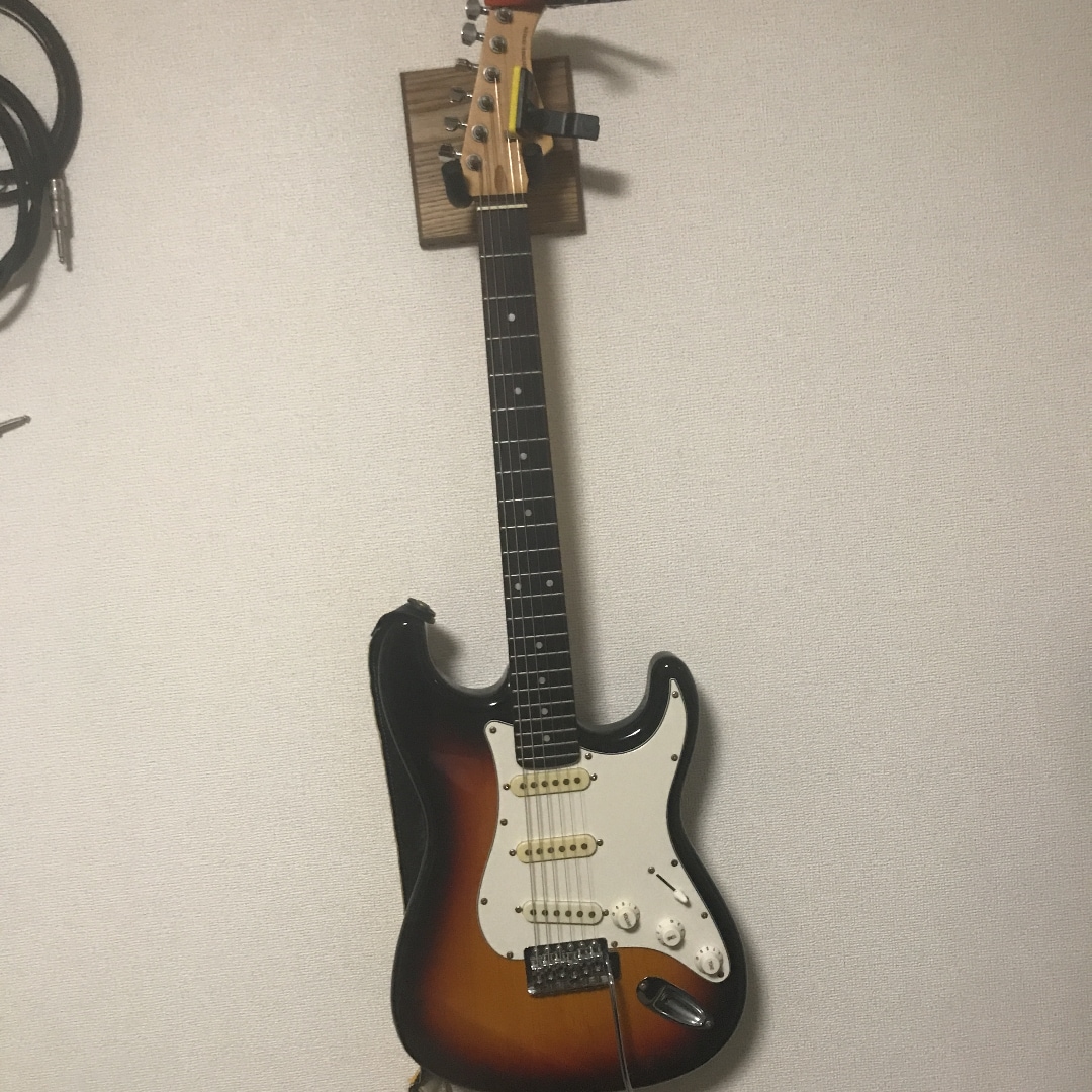 はじめてのギターで必要なことします せっかく買った楽器,長く楽しく続けるためのノウハウ イメージ2