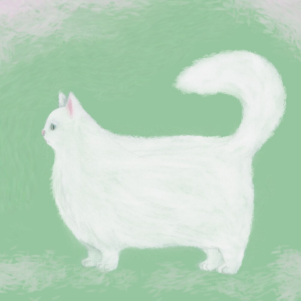 ペットの似顔絵、お好みのイラスト描きます 花と猫のマッチしたイラストはいかがですか？ イメージ6