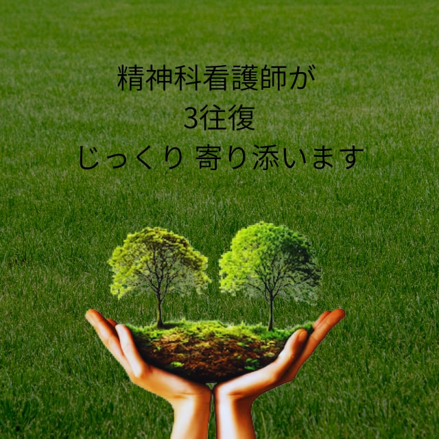 精神科看護師・こころの休憩室/3往復傾聴します どんな愚痴も否定しません。あなたの味方になります イメージ1