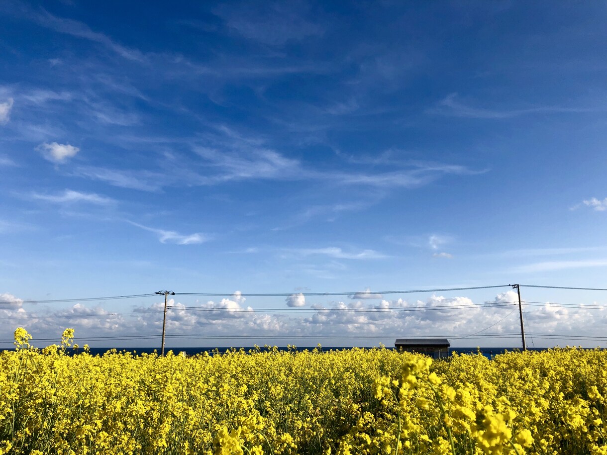 最上級の思い出を！！コスパ最高旅行をお届けします 無駄な出費を抑えて、プラスαたのしもう！！ イメージ2