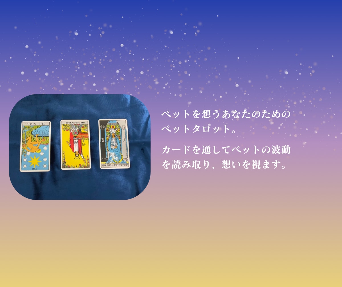 大切なペットがあなたに伝えたい想いを届けます 飼い主さんと心を繋ぐペットタロット！虹の橋の子にも対応 イメージ4