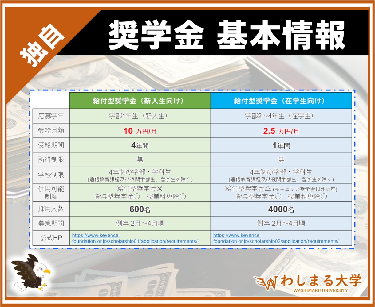 キーエンス奨学金の合格小論文・調査倍率を教えます 合格者多数！大人気 民間給付奨学金の攻略ノウハウを徹底解説！ イメージ3