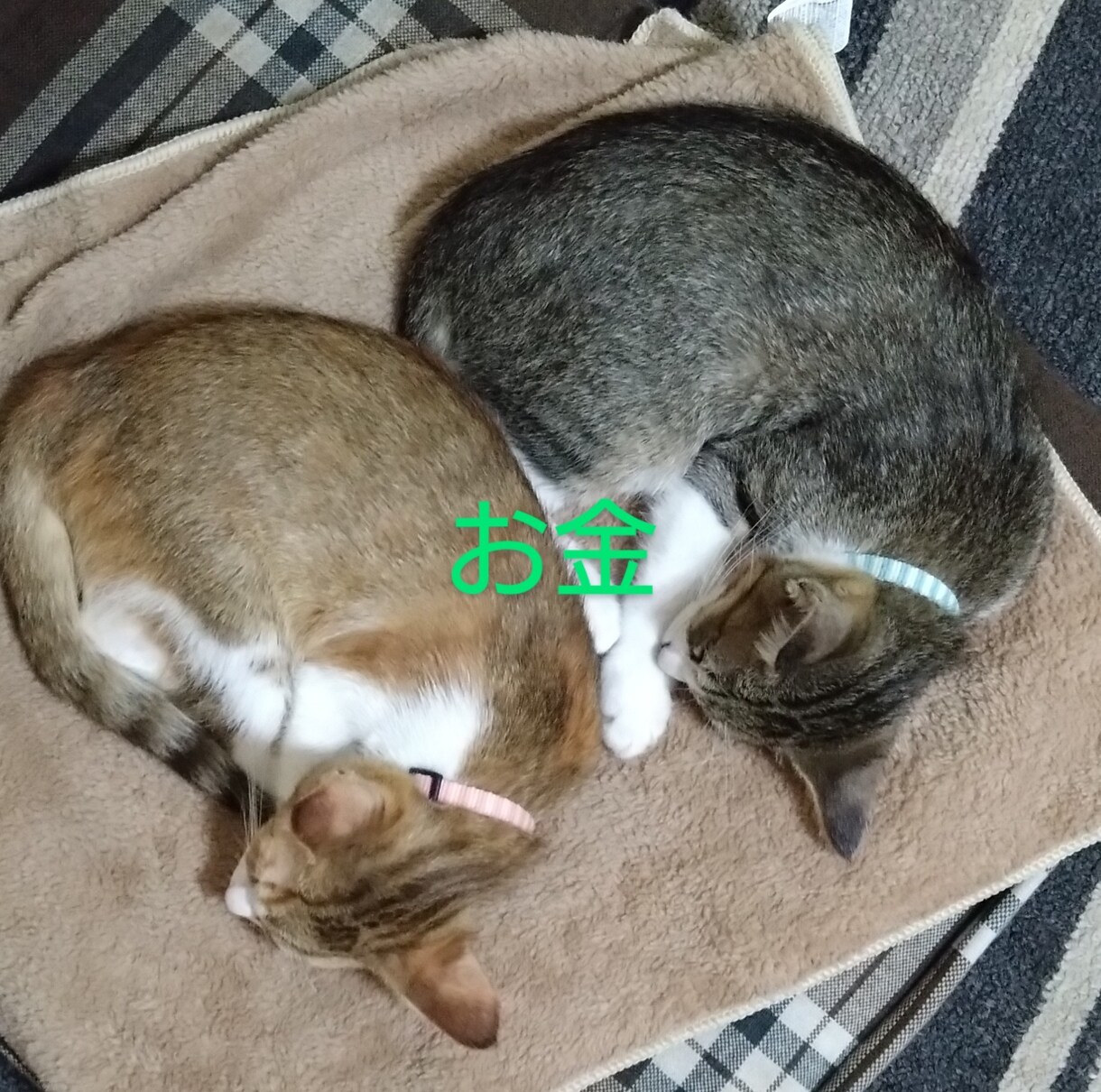 精神的にしんどいなどアドバイスします 経験してきたからこそアドバイスできます イメージ2