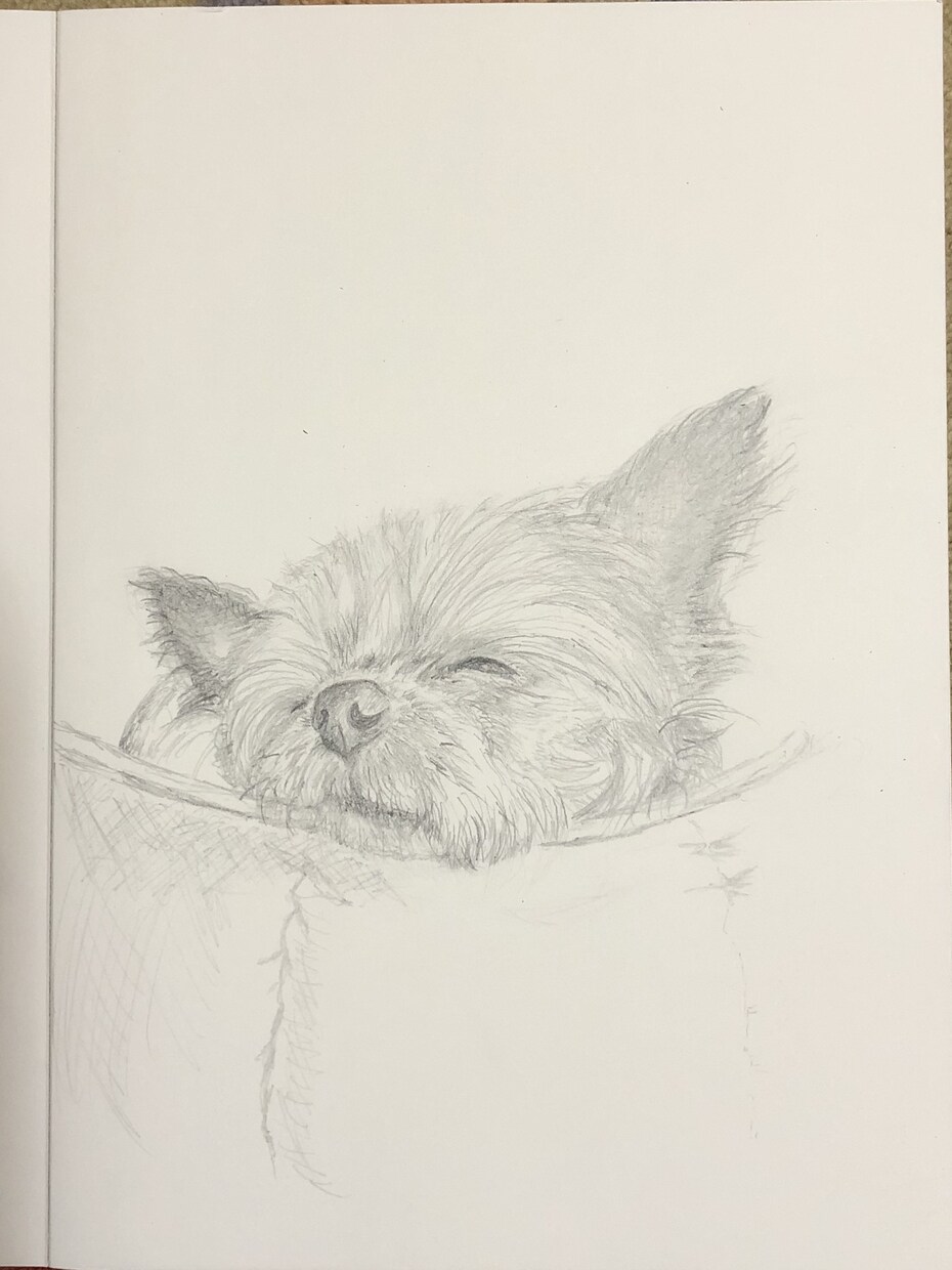 愛しいわんこさんの日常描きます 一緒にいた心地よい光景を描かせて頂きます。心に触れる絵 イメージ7
