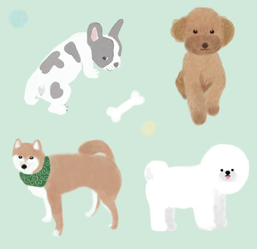 女性にウケるイラストやデザイン描きます 現役女性デザイナーが描く、女性ウケするイラスト イメージ1