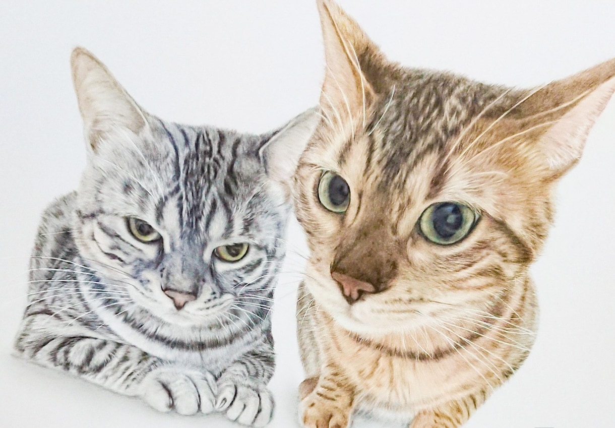 B5サイズ/色鉛筆で絵を描かせて頂きます ふんわりした写真とはまた違う世界観を。。 イメージ1