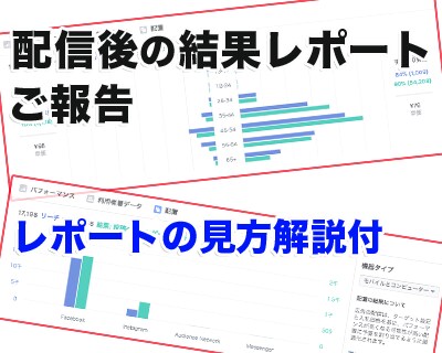 Facebook広告を即日・格安で代理出稿します 配信後の詳細レポートまでお届けします！ イメージ3