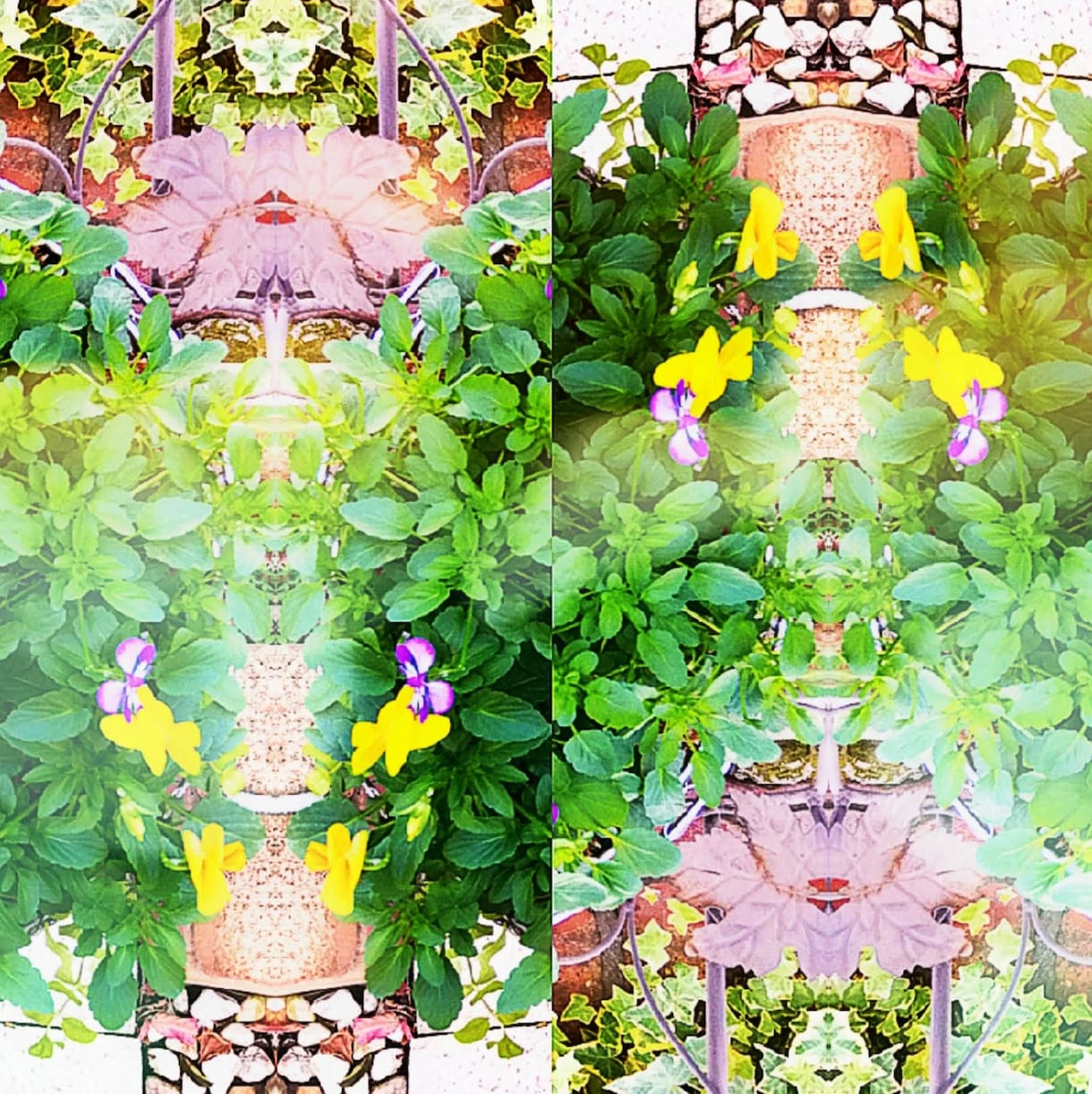 女性リピーター様❤再来限定で❤桜乃つぼみが占います 仕事✨恋愛✨家庭✨複雑etc.タロットを使って辛口鑑定します イメージ6