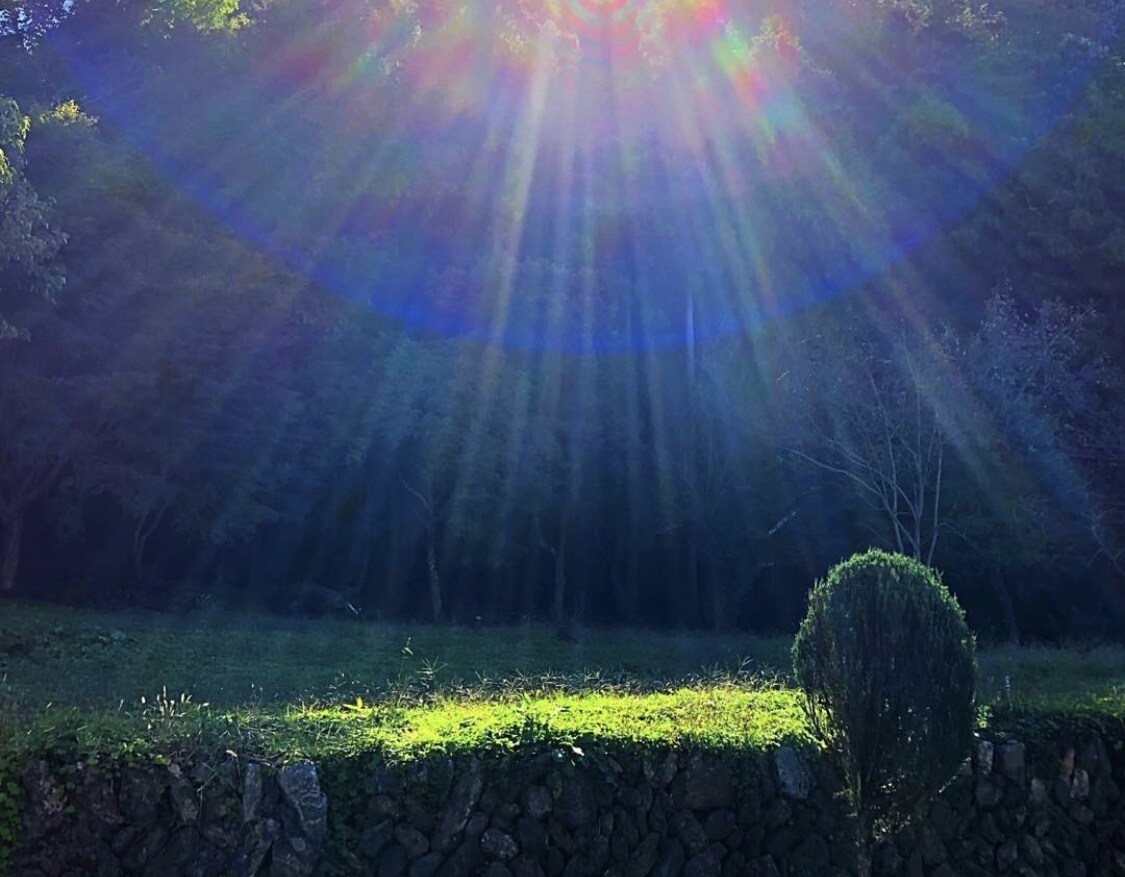 話は下手ですがきっと自信が持てるようになります 生きていると辛いですよね。僕と一緒に一歩進みましょう！！ イメージ1