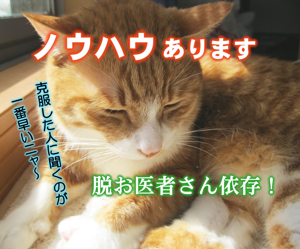 うつ病・双極性障害 克服経験者が相談に乗ります 今が人生を変えるチャンスです！ イメージ1
