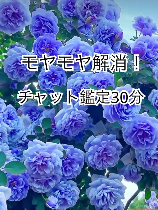 モヤモヤ解消・チャット鑑定30分♪本当を伝えます 相手の気持ちは見えないもの。タロットでしっかり見ていきます♪ イメージ1
