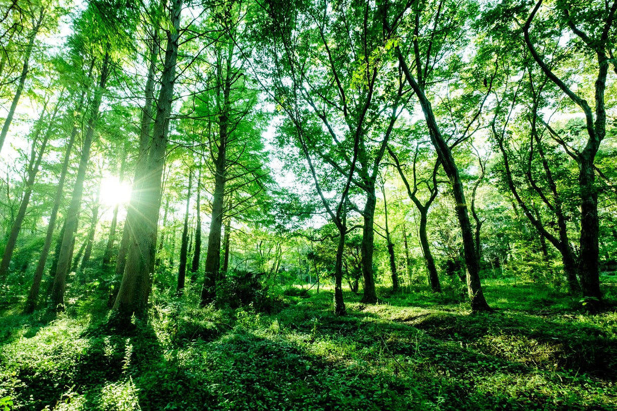心に不安や寂しさ、自信がないなど、お気持ち支えます 隣で一緒にお茶してる感じで、心の整理のサポートをします。 イメージ6