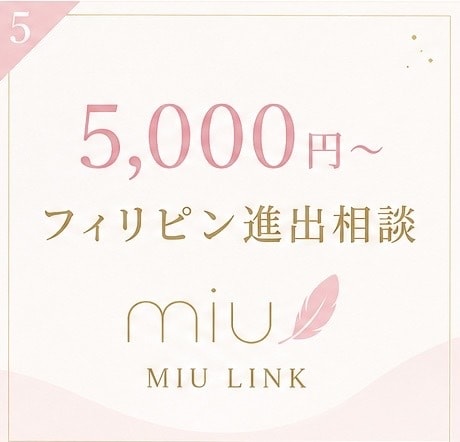 フィリピン進出日本の商品を現地目線で一緒に考えます TikTok・KOL、EC・LIVE販売、現地企業との連携 イメージ5