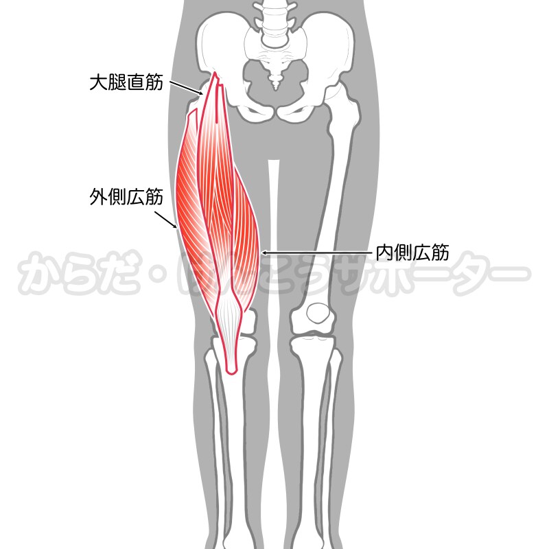 病院・整骨院・治療院向けイラストを作成します ☆解剖学・生理学・運動学などのエビデンスが必要な方へ☆ イメージ8