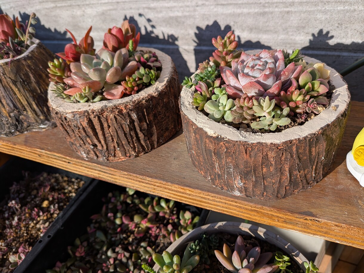 モルタル造形植木鉢をオーダーメイドで作ります モルタル造形植木鉢のハンドメイドをやっています。 イメージ4