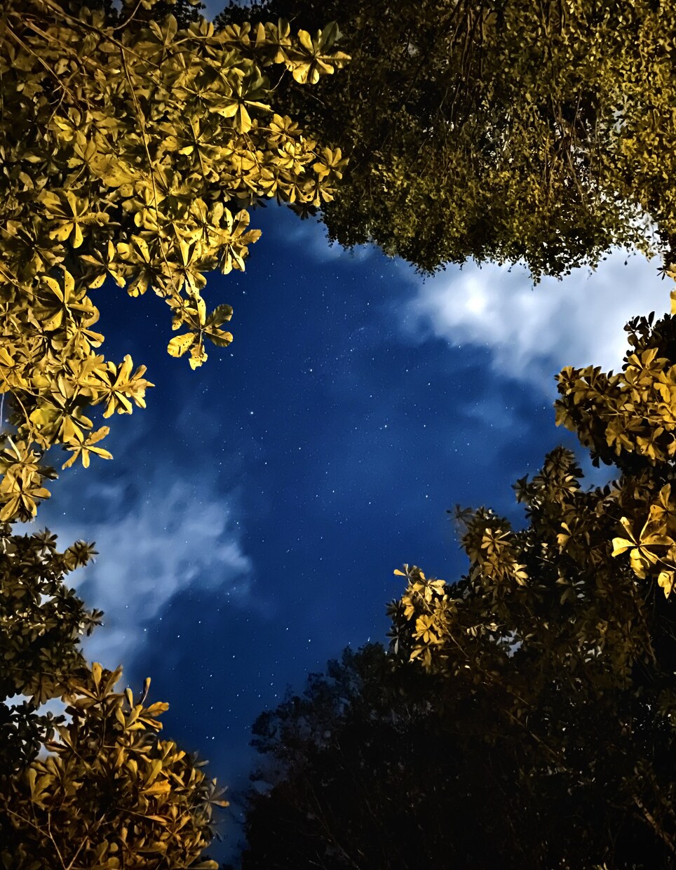 iPhoneで撮影した写真を美しい１枚に編集します iPhoneで撮影した写真でも一眼レフ並の完成度で編集します イメージ2