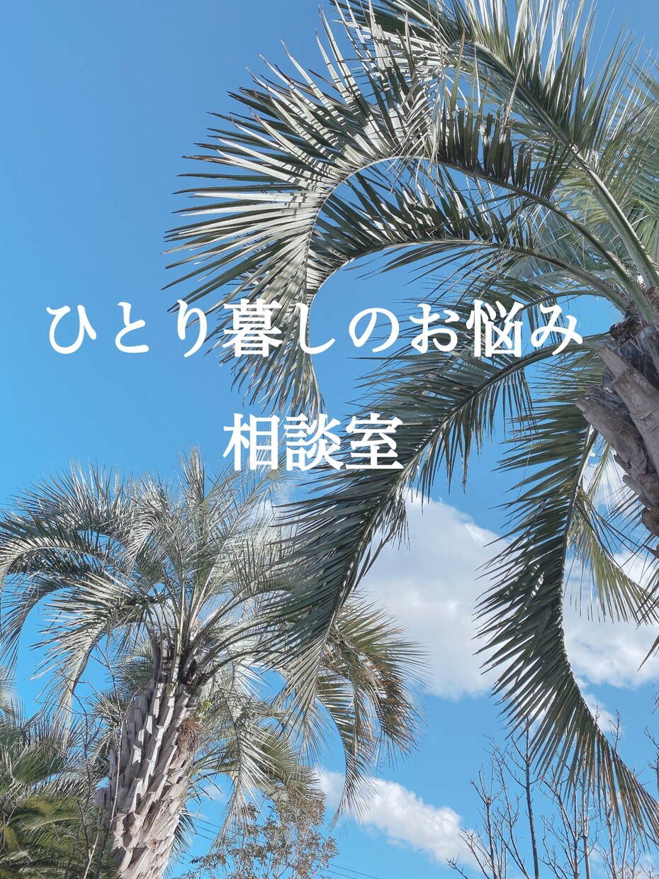 再開☆一人暮らしアパート探しの心配事、聞きます 不動産業歴12年、一人暮らしや転勤の不安や相談乗ります。 イメージ1