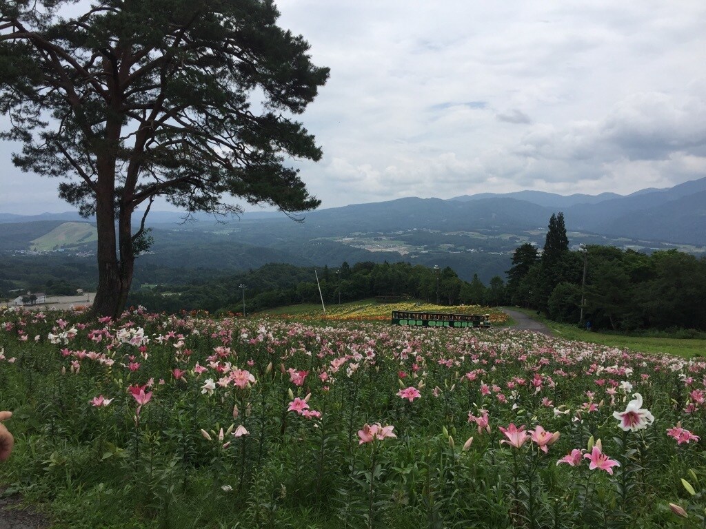 あなたの体と心のお悩み、看護師が承ります 生理痛、生理前の気分の不調、産後うつなど イメージ1