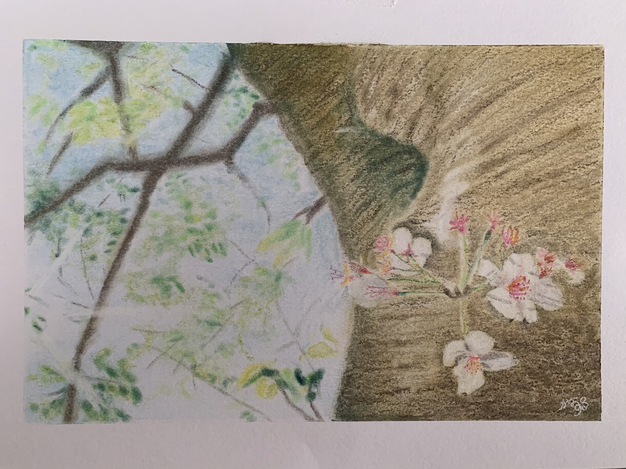 貴方だけの手描きパステル画を描きます アートで生活に素敵なカラーの華を添えませんか♡ イメージ5