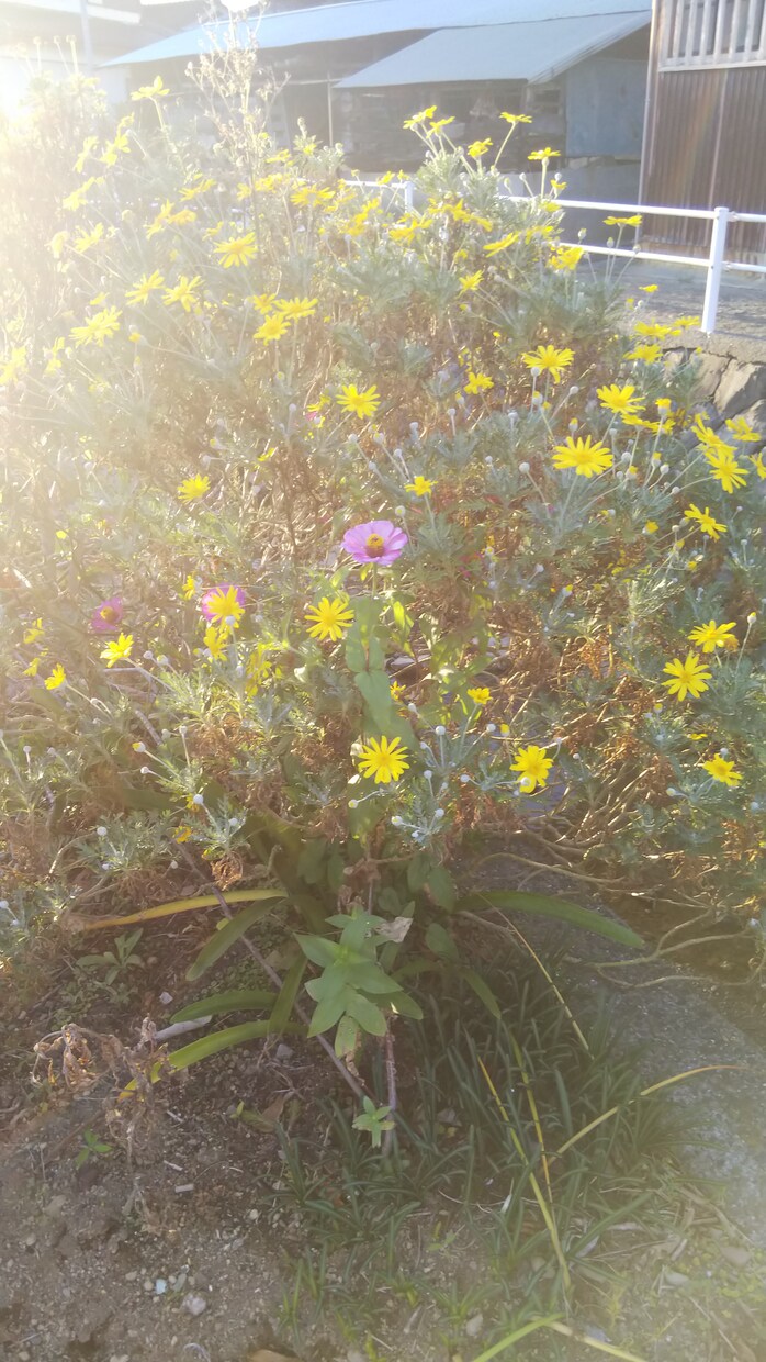モラハラ旦那のトリセツ教えます 地獄から抜け出した嫁&人間(*^^*) イメージ1