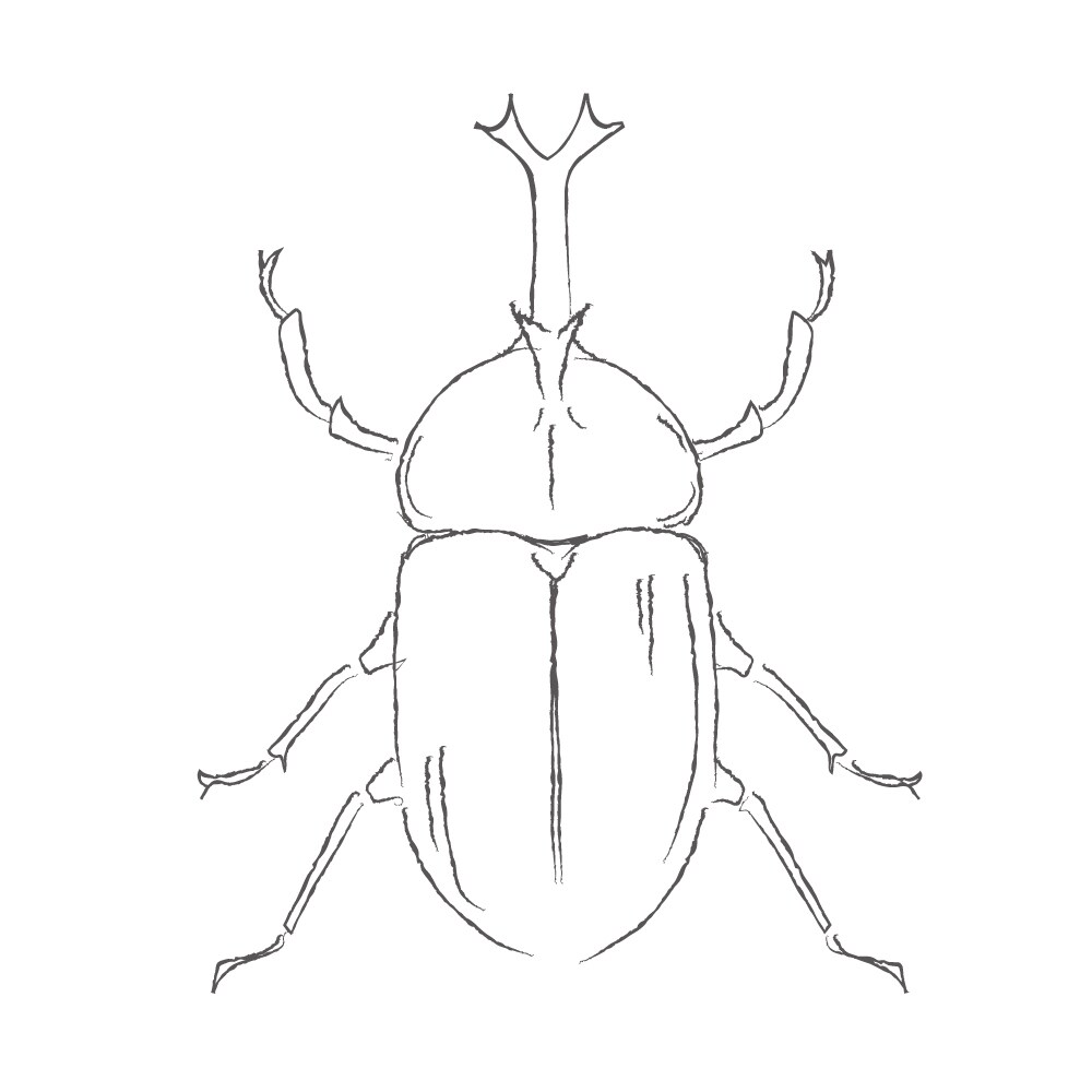 手書き風の挿絵イラスト描きます 【商用ok】webや雑誌などに使用できる手書き風のイラスト イメージ5