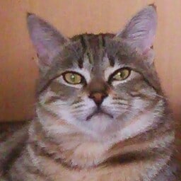 貴方の疲れた心を癒すことができたらいいな♪ イメージ1