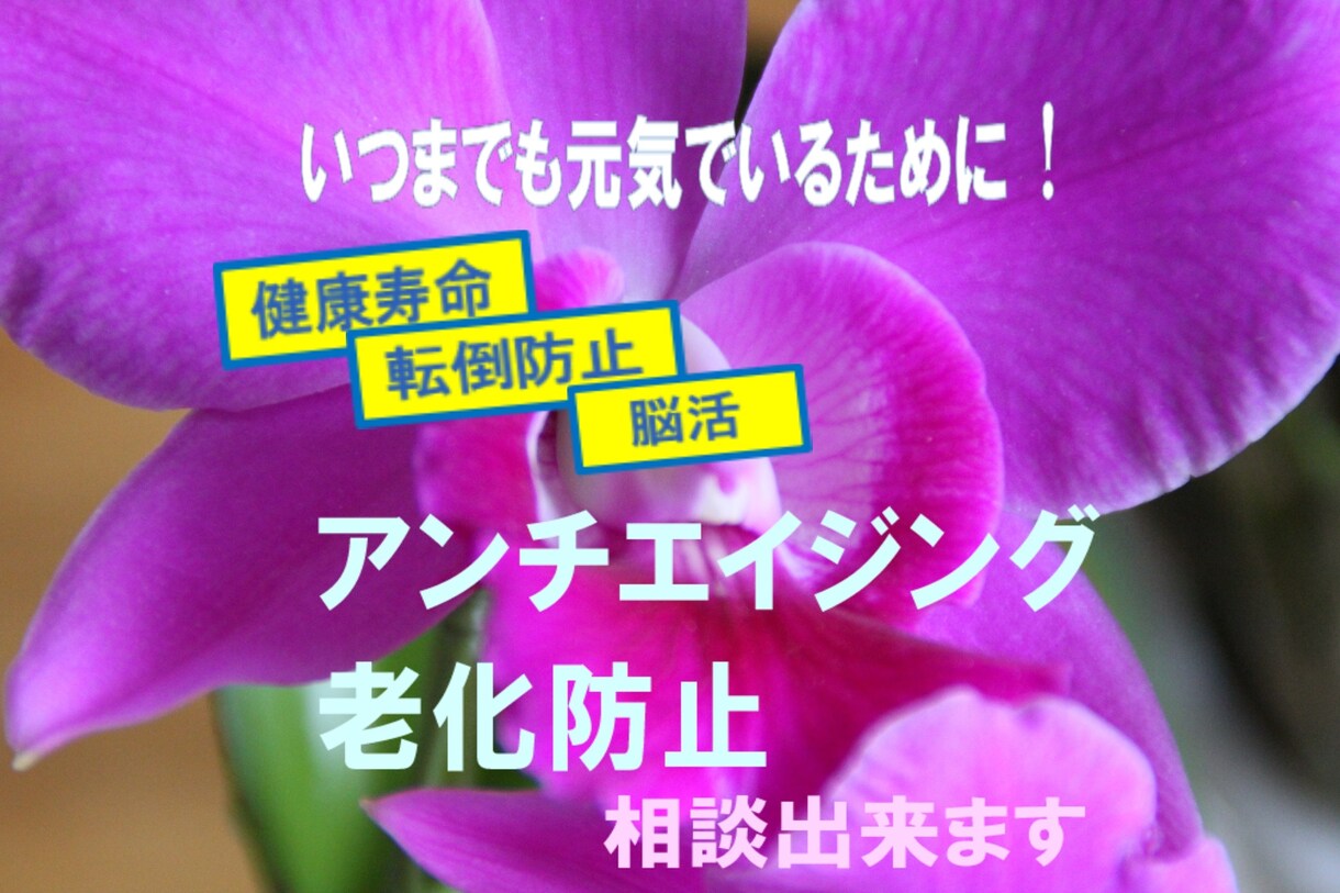 老化防止　【アンチエイジング】　のお手伝いをします ◇60代からの老化予防・健康・介護にならない生活のヒント イメージ1