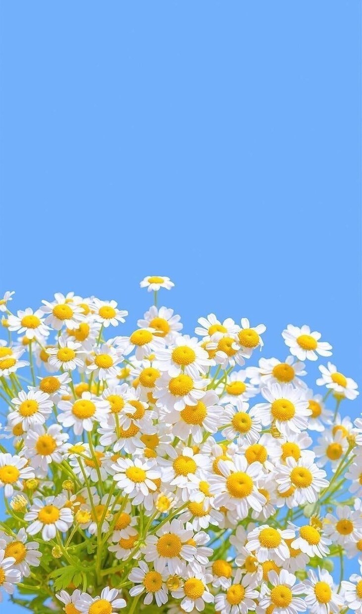 悩み、愚痴、どんな些細な事でも聞きます ただ誰かに聞いてほしい。短い時間でも大歓迎です☾ イメージ1